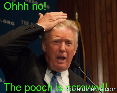 Pooch Trump